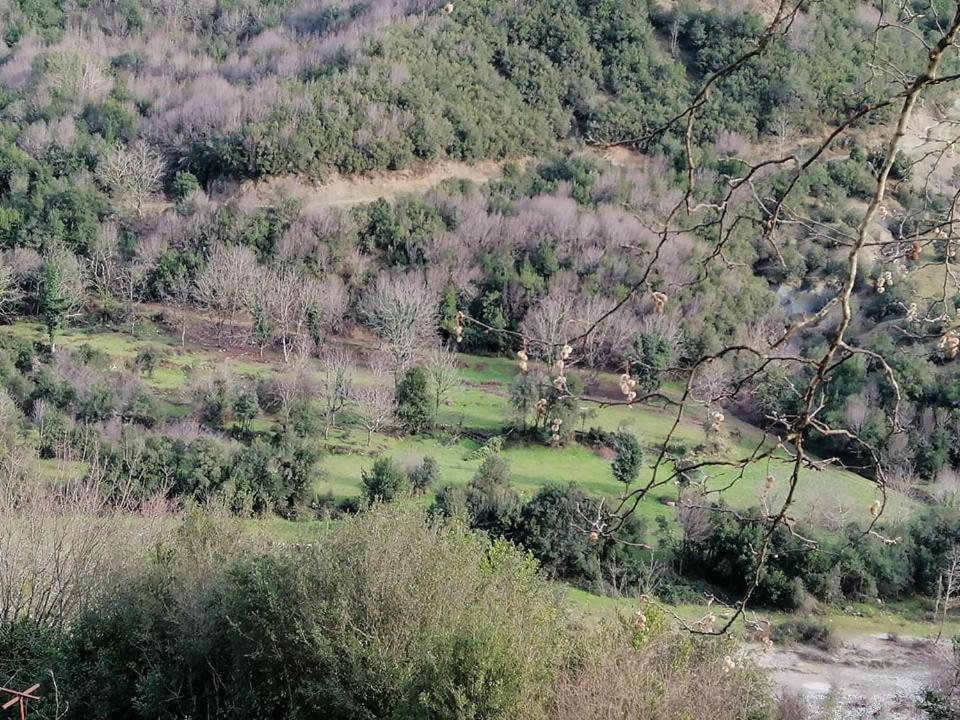 Ktimata Evdoxia Villa Platanoussa Buitenkant foto