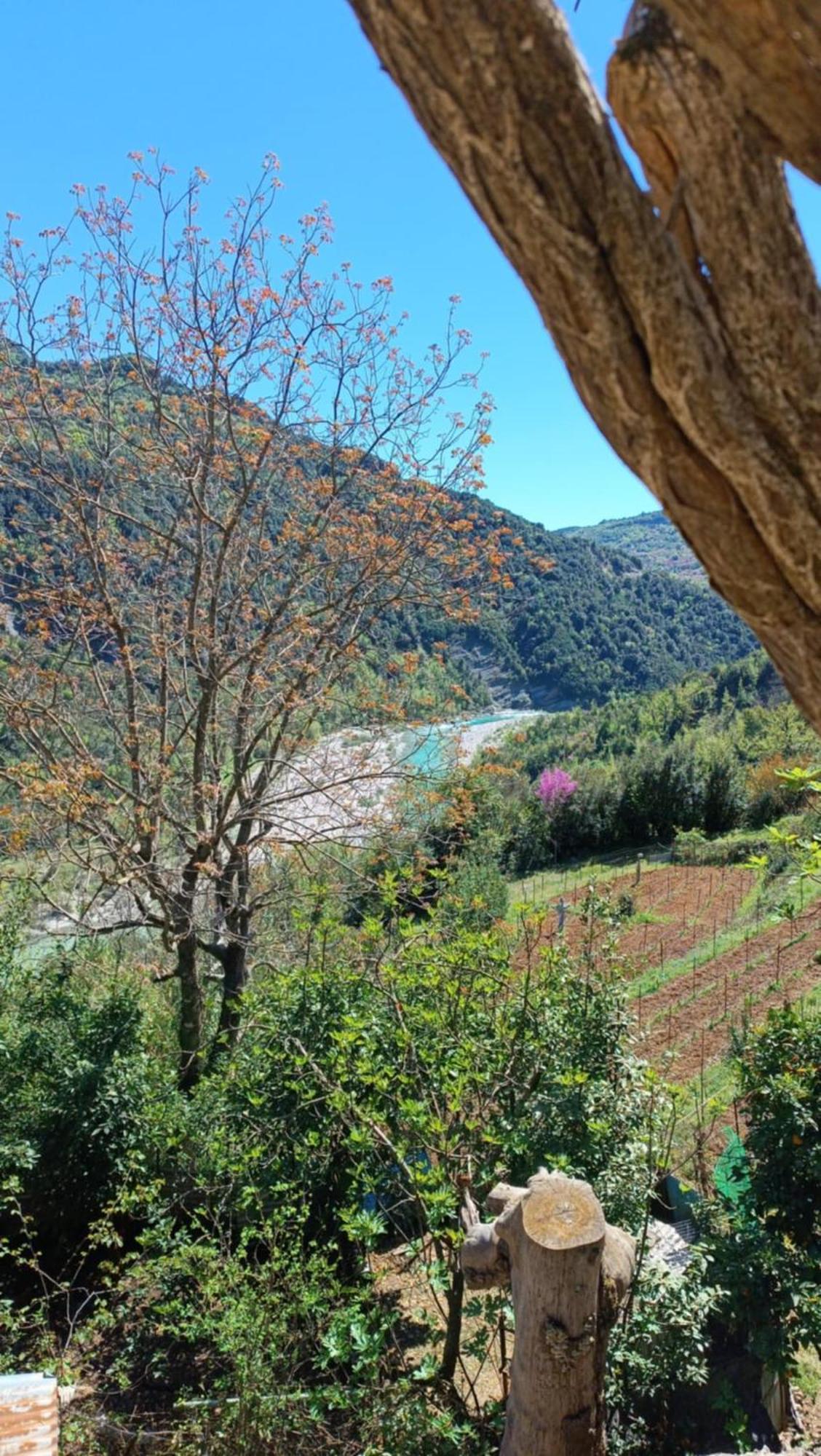 Ktimata Evdoxia Villa Platanoussa Buitenkant foto